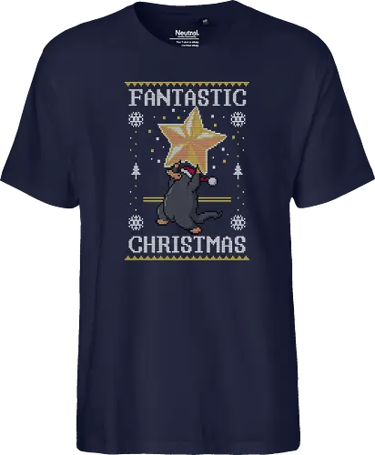 Fantastic Christmas!