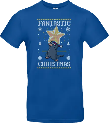 Fantastic Christmas!