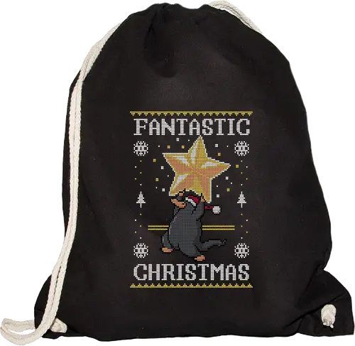 Fantastic Christmas!