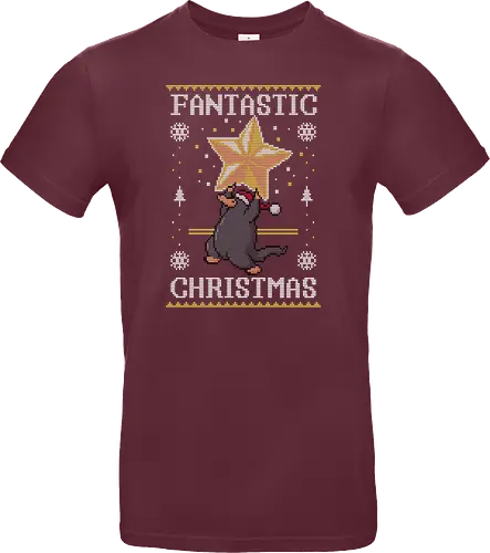 Fantastic Christmas!