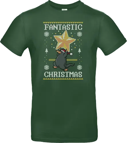 Fantastic Christmas!