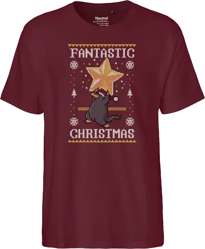 Fantastic Christmas!