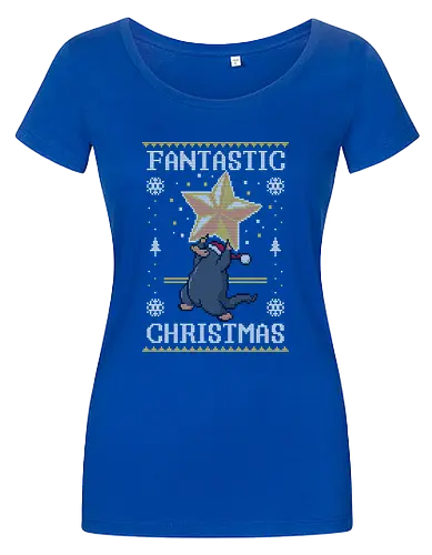 Fantastic Christmas!