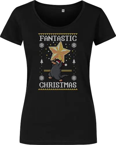 Fantastic Christmas!