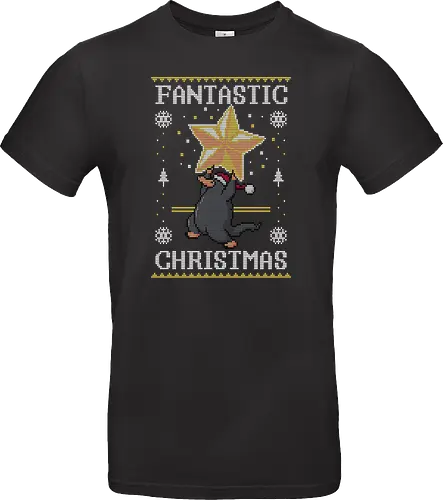 Fantastic Christmas!