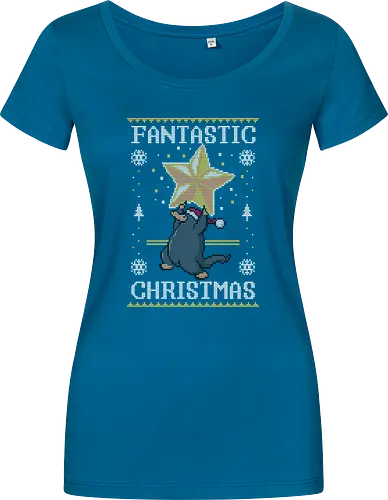 Fantastic Christmas!