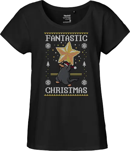 Fantastic Christmas!