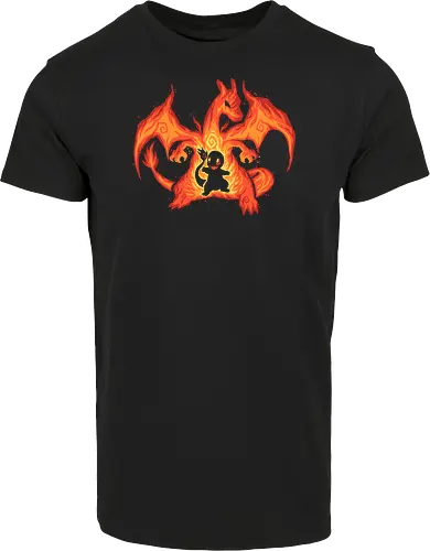 The Fire Dragon Within