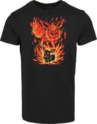 The Fire Evolution Within