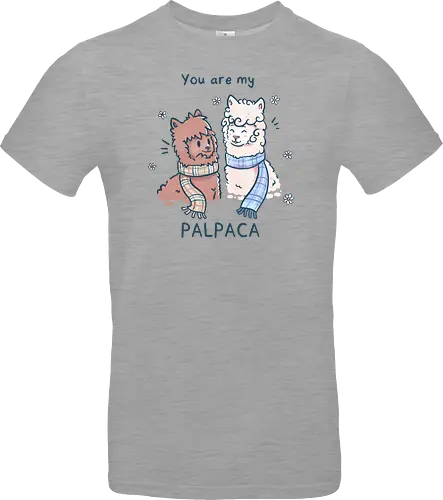 You are my Palpaca