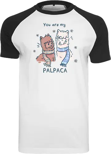 You are my Palpaca