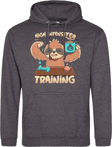 High IntensiT Training Sloth