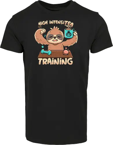 High IntensiT Training Sloth