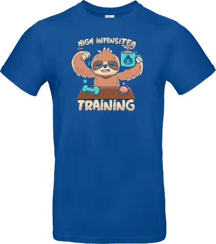 High IntensiT Training Sloth