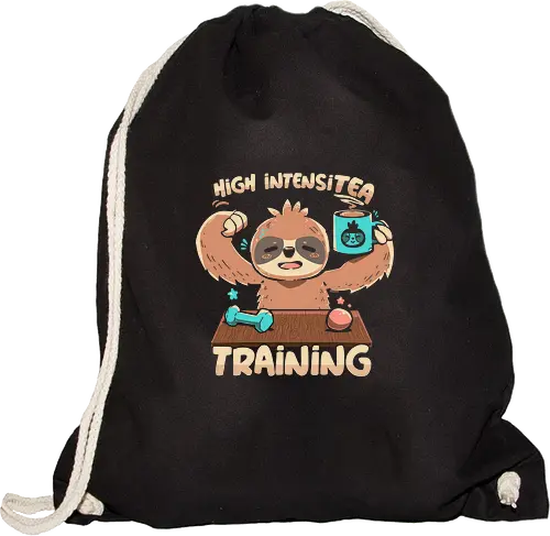 High IntensiT Training Sloth