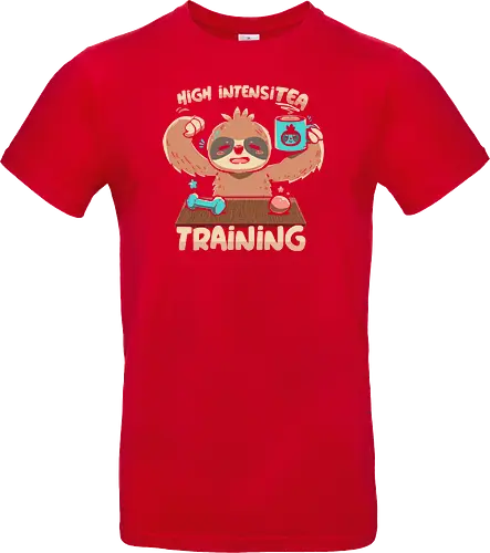 High IntensiT Training Sloth