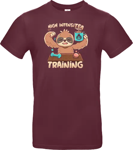 High IntensiT Training Sloth