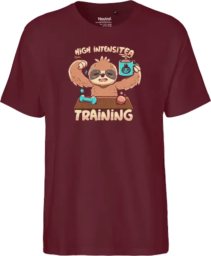 High IntensiT Training Sloth