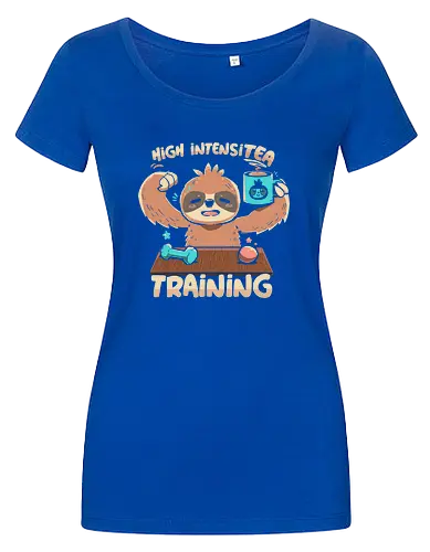 High IntensiT Training Sloth