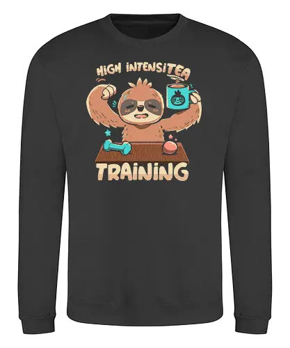 High IntensiT Training Sloth - faultier, sloth, Intense, tee, workout, t - Sweatshirt