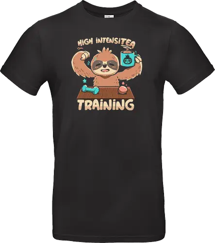 High IntensiT Training Sloth