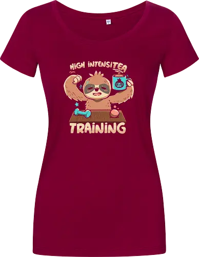 High IntensiT Training Sloth