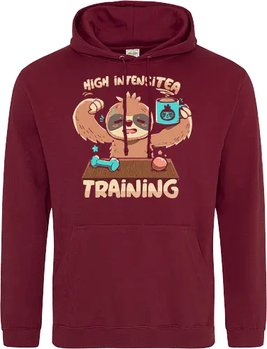 High IntensiT Training Sloth