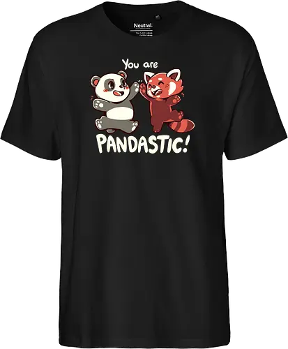 You are Pandastic