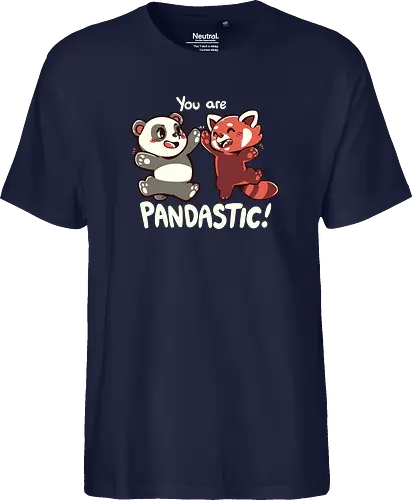 You are Pandastic