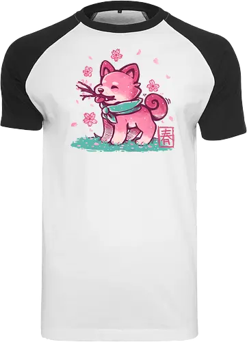 Spring Time Shiba