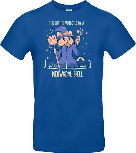 Protected by a Meowgical Spell