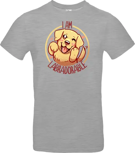 I am Labradorable