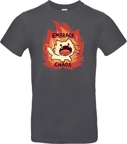 Embrace Chaos