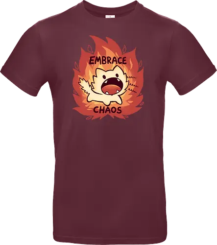 Embrace Chaos