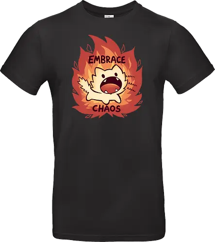 Embrace Chaos