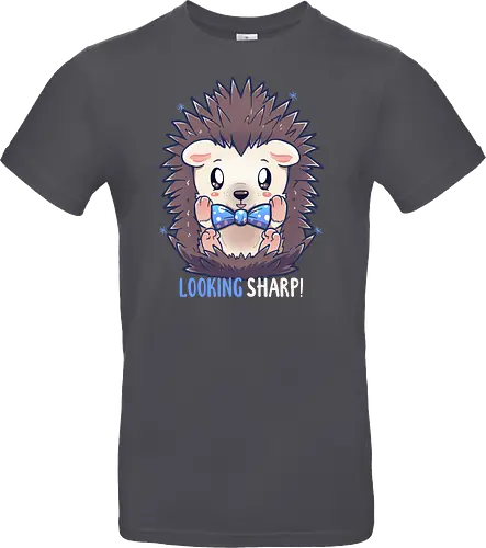 Looking Sharp Hedgehog