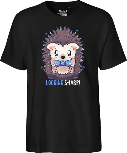 Looking Sharp Hedgehog