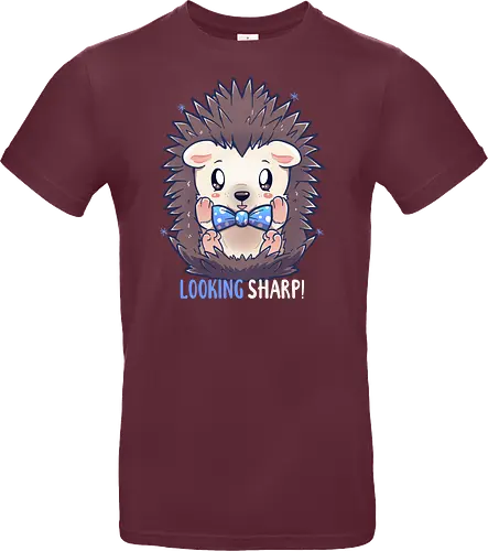 Looking Sharp Hedgehog