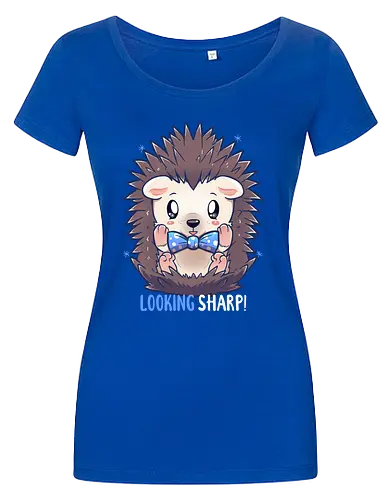 Looking Sharp Hedgehog