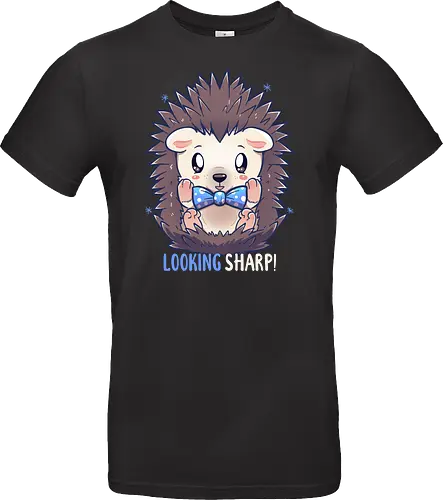 Looking Sharp Hedgehog