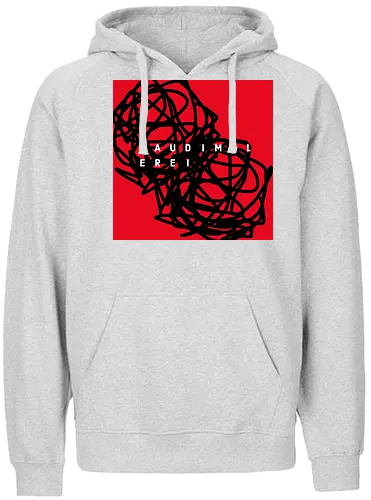 Raudimalerei Logo - Fairtrade Hoodie