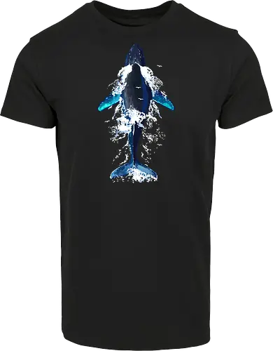 Humpback whale in ocean