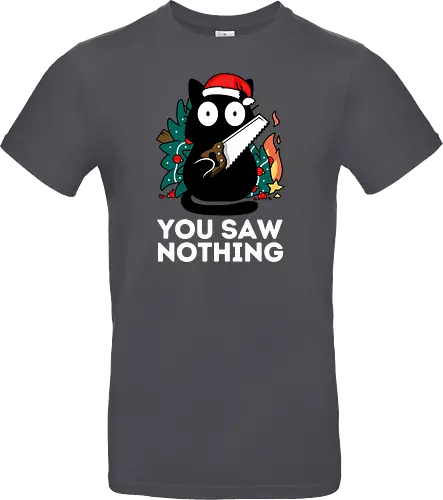 You saw nothing - Christmas Cat