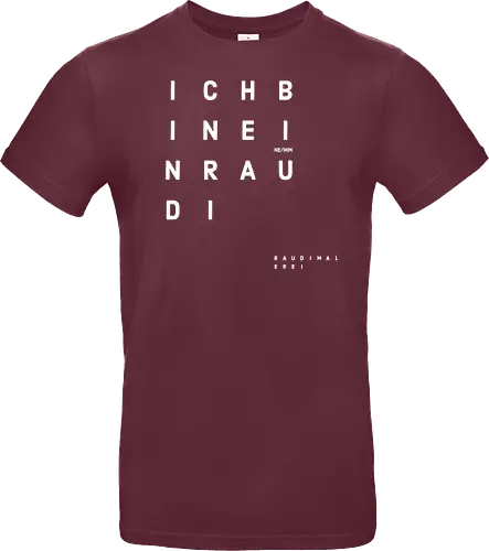 Der RAUDI