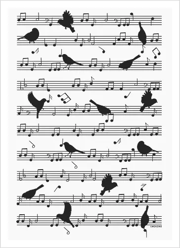 Birds on musical notes - black