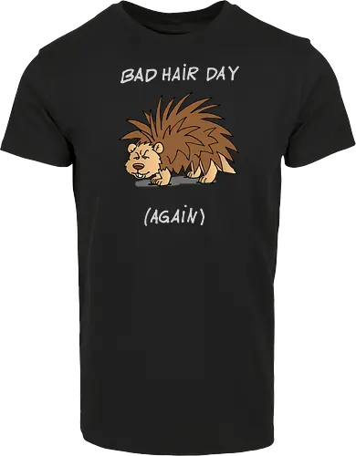 Caricatura Sommerakademie - Bad Hair Day