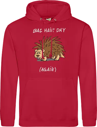 Caricatura Sommerakademie - Bad Hair Day