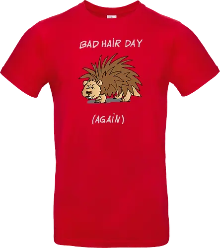 Caricatura Sommerakademie - Bad Hair Day