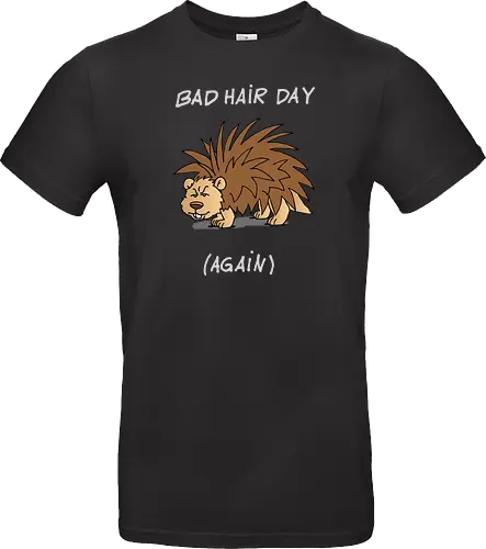 Caricatura Sommerakademie - Bad Hair Day
