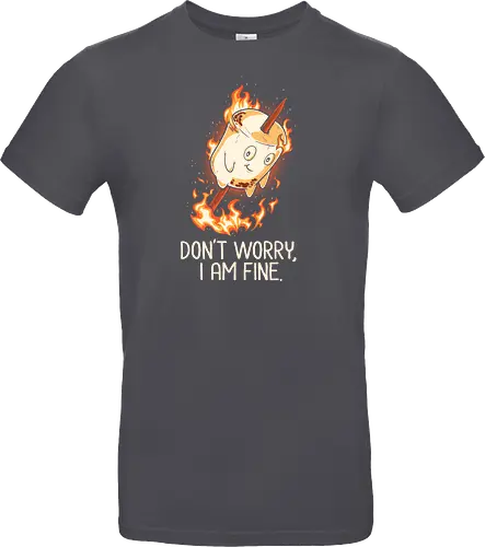 Don't Worry I Am Fine